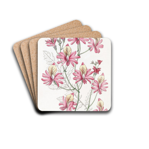 Blunt-petalled Schizanthus by Sydenham Edwards Drink Coasters - set of 4