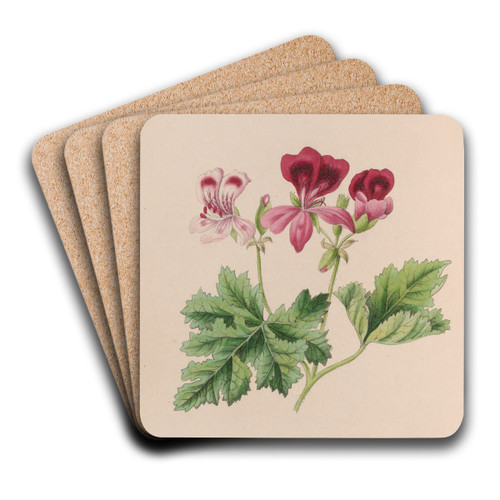 Harebell by John Stevens Henslow Art Drink Coaster set Harebell by John Stevens Henslow Art Drink Coaster set