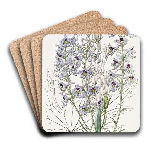 Downy-leaved variable Larkspur by Sydenham Edwards Art Drink Coaster set Downy-leaved variable Larkspur by Sydenham Edwards Art Drink Coaster set
