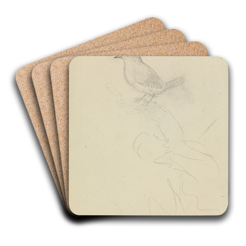 Winter wren by James Sowerby Art Drink Coaster set Winter wren by James Sowerby Art Drink Coaster set