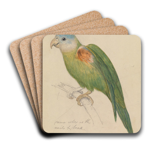 A Parrot by James de Carle Sowerby Art Drink Coaster set A Parrot by James de Carle Sowerby Art Drink Coaster set