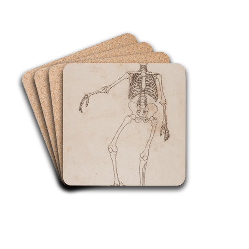 Human Skeleton, Anterior View by George Stubbs Drink Coasters - set of 4