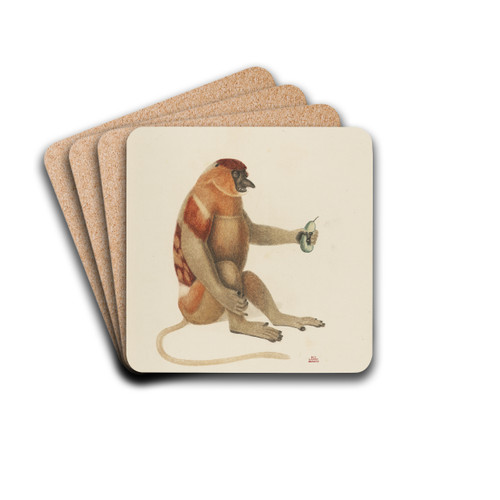 Le Kahau by Jean-Baptiste Audebert Drink Coasters - set of 4
