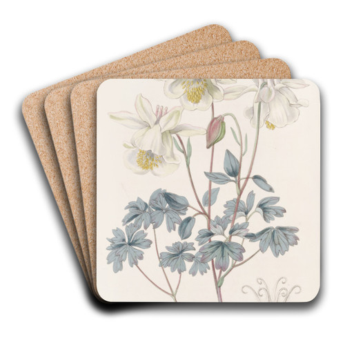 Glaucous Columbine by Sydenham Edwards Art Drink Coaster set