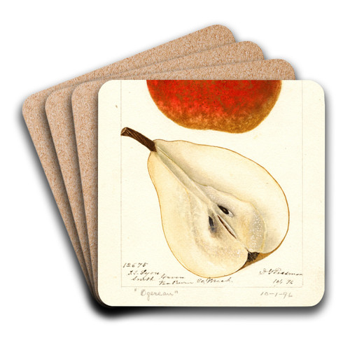 Pyrus communis: Ogerean by Deborah Griscom Passmore Art Drink Coaster set