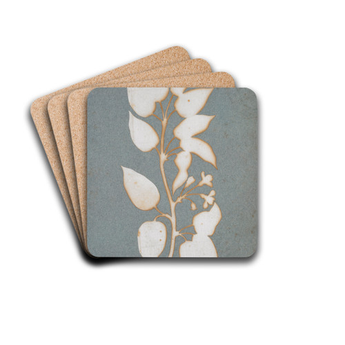 Bltenzweig (Wald-Geissblatt) by Philipp Otto Runge Drink Coasters - set of 4
