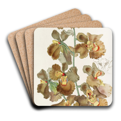 Curled-flowered Oncidium by Sydenham Edwards Art Drink Coaster set Curled-flowered Oncidium by Sydenham Edwards Art Drink Coaster set