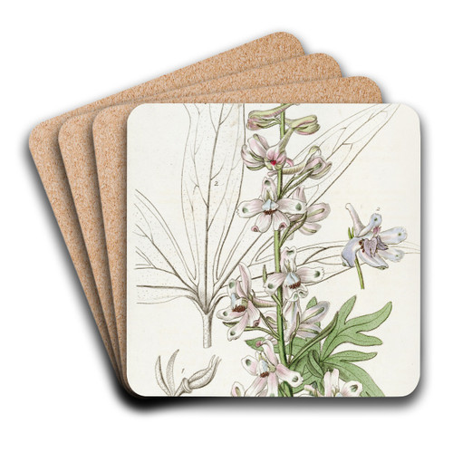 Sky-blue Larkspur by Sydenham Edwards Art Drink Coaster set Sky-blue Larkspur by Sydenham Edwards Art Drink Coaster set