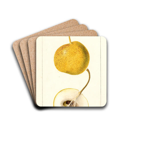 Pyrus communis: Mikado by Deborah Griscom Passmore Drink Coasters - set of 4