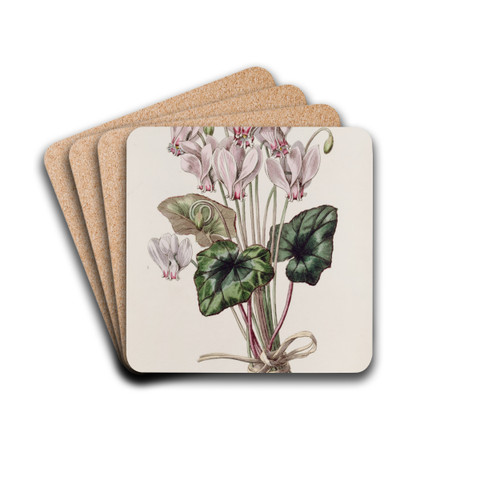 Neapolitan Cyclamen by Sydenham Edwards Drink Coasters - set of 4 Neapolitan Cyclamen by Sydenham Edwards Drink Coasters - set of 4