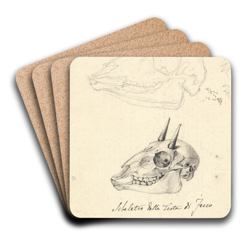 Skeletro della Testa di Fecco (Three Animal Skulls) by Luigi Balugani Art Drink Coaster set