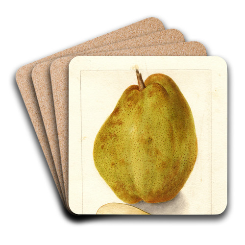 Pyrus communis: Kieffer by Deborah Griscom Passmore Art Drink Coaster set