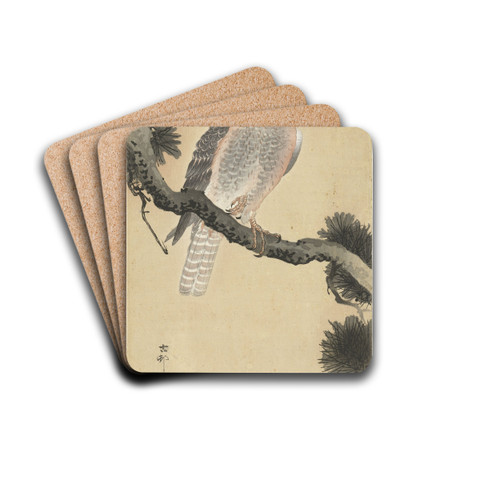 Hawk on pine branch by Ohara Koson Drink Coasters - set of 4