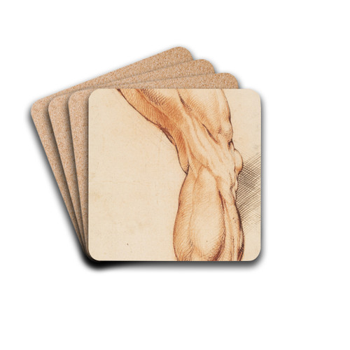 Anatomical Study (corch). A man's flayed right leg seen from the back, turned to the right by Willem Panneels Drink Coasters - set of 4 Anatomical Study (corch). A man's flayed right leg seen from the back, turned to the right by Willem Panneels Drink Coasters - set of 4