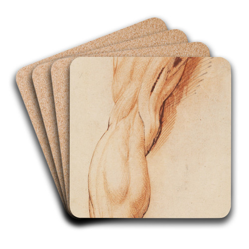 Anatomical Study (corch). A man's flayed left leg seen from the back by Willem Panneels Art Drink Coaster set Anatomical Study (corch). A man's flayed left leg seen from the back by Willem Panneels Art Drink Coaster set
