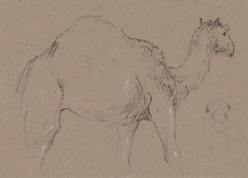 A Camel Moving to the Right; a Sketch of a Camels Head, Bottom Right (ca. 1850) by George Jones Art Print Download