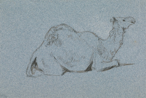 A Camel Resting, Side View to the Right (ca. 1856) by George Jones Art Print Download