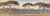 Digital Print - A View of the Pine Woods Above Cannes by Edward Lear