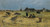 Digital Print - Landschaft aus Cayeux by Rudolf Ribarz