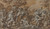Digital Print - Bacchanal by Pietro da Cortona