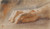Digital Print - Study of a Right Hand for the Portrait of countess Anna Joachima Danneskiold-Laurvigen by Jens Juel