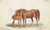 Digital Print - Brood Mare and Third Foal, with Marks of Quagga by Charles Hamilton Smith