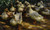 Digital Print - Ducks in Sunlight by Alexander Koester
