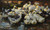 Digital Print - Enten am Frenapf (Entenftterung) by Alexander Koester