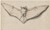 Digital Print - Bat with Outspread Wings by Hans Holbein The Younger