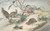 Digital Print - EverlastingContentment by Xu Yang