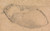 Digital Print - Sleeping Infant's Arm by Sir David Wilkie
