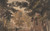 Digital Print - A Street in Harborne by David Cox