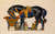 Digital Print - Cheval s'abreuvant by Lon Bakst