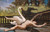 Digital Print - Leda and the Swan by Jean-Baptiste Cariven Digital Print - Leda and the Swan by Jean-Baptiste Cariven