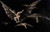 Digital Print - Where There's a Will There's a Way (A way of Flying) by Francisco de Goya