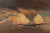 Digital Print - Cloud Study by Knud Baade