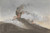 Digital Print - Vesuvius in Eruption. by Isaac Weld