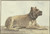 Digital Print - Liegende Dogge, den Kopf erhoben by Conrad Gessner