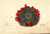 Digital Print - Opuntia: Prickly Pear by Deborah Griscom Passmore