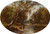 Digital Print - Cattle Watering by American School
