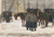 Digital Print - Koetsen en koetsiers in de sneeuw by Floris Arntzenius