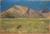 Digital Print - Grazing Sheep in front of Bare Hills by Ernst Schiess