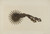 Digital Print - Spur by Gerald Transpota