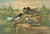 Digital Print - Hydrochelidon fissipes, Hydrochelidon hybrida, Hydrochelidon nigra by Johann Friedrich Naumann Digital Print - Hydrochelidon fissipes, Hydrochelidon hybrida, Hydrochelidon nigra by Johann Friedrich Naumann