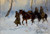 Digital Print - Cavalrymen by Wojciech Kossak