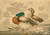 Digital Print - Ducks and Withered Lotus by Kobayashi Kiyochika