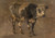 Digital Print - Bull by Andre Plumot