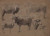 Digital Print - Studies of Sheep by Anton Mauve