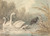 Digital Print - A Raven and Two Swans by Samuel Howitt