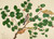 Digital Print - Brahminy Starling with Two Antheraea Moths, Caterpillar, and Cocoon on Indian Jujube Tree by Sheikh Zain al-Din